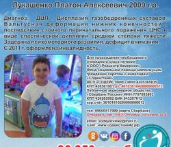Лукашенко Платон сумма к сбору 86 350 руб