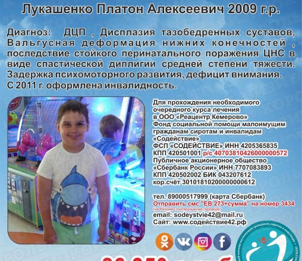 Лукашенко Платон сумма к сбору 86 350 руб